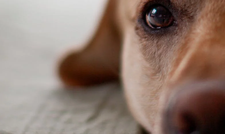 El día en que mi mundo se rompió en Barajas