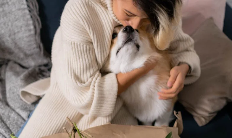 El secreto bajo la cuna: una noche en Madrid