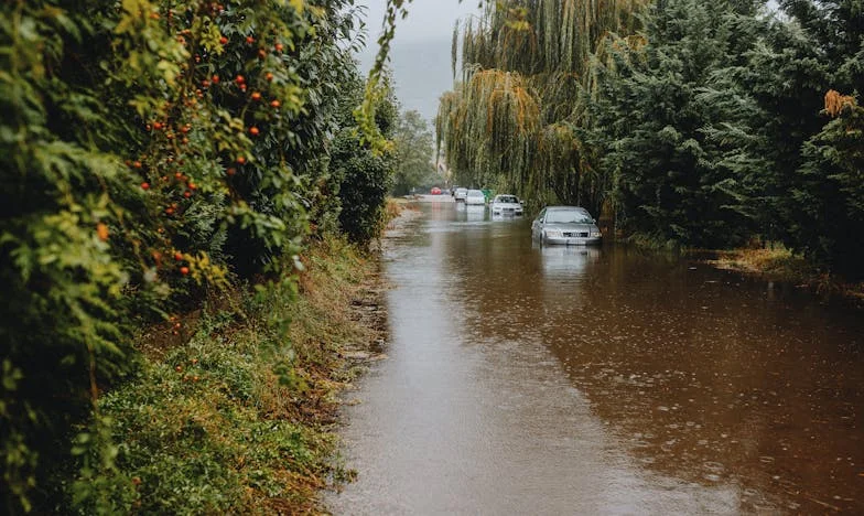 La verdad tras la puerta azul