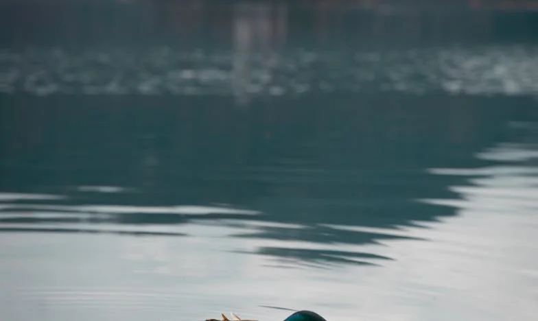 No Dejaré a Mi Hijo: La Lucha de un Padre contra el Frío de una Madre