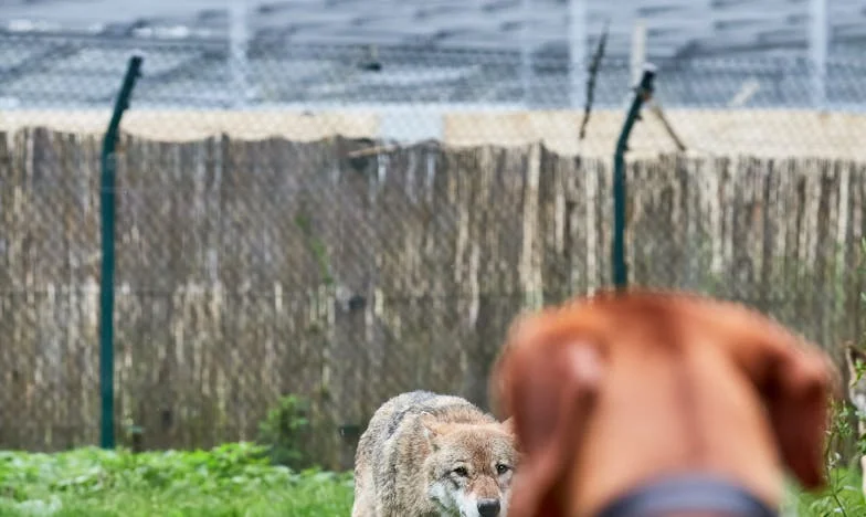 Una herencia de lágrimas: Mi lucha entre el amor y la responsabilidad