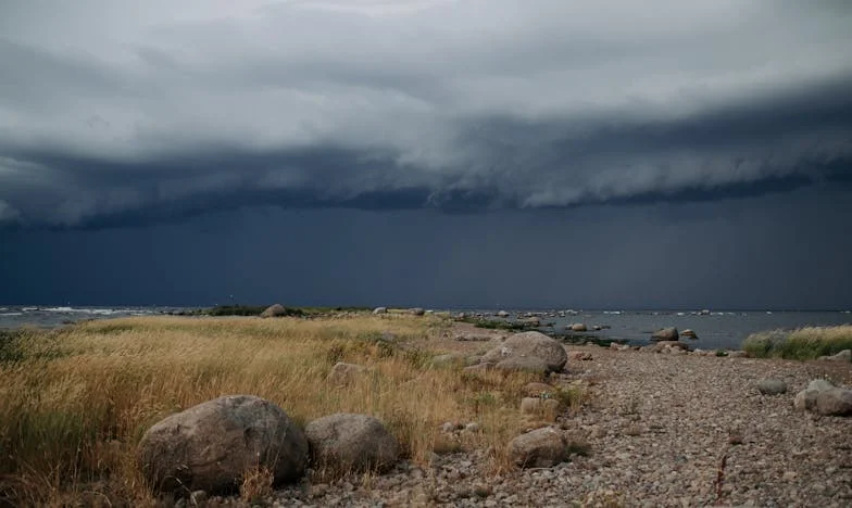 Volver a encontrar a Lucía: En busca del primer amor perdido