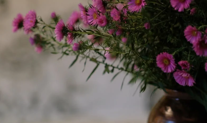 Cuando el amor se quiebra entre generaciones: La historia de Ana, su hijo y su nuera