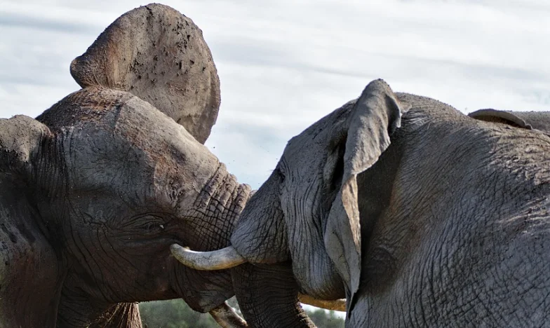 Mano abierta, corazón cerrado: El precio de mi libertad