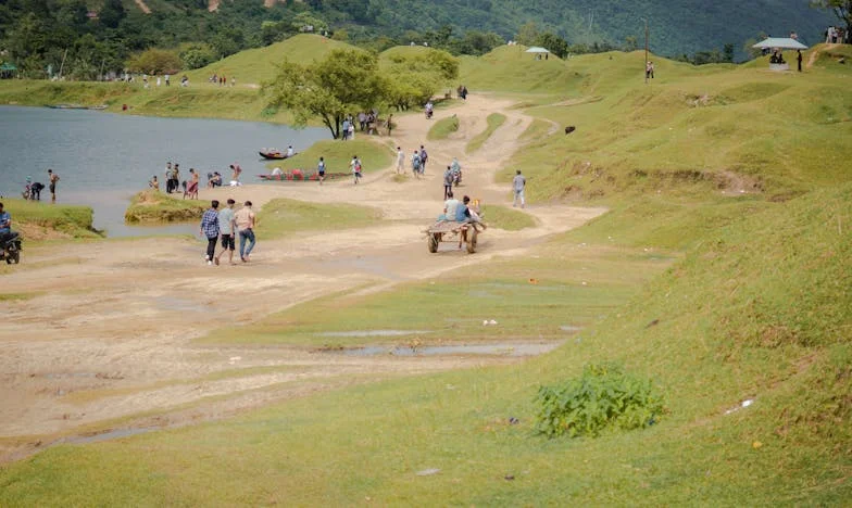 Entre a Família e a Liberdade: O Dia em que Disse Basta