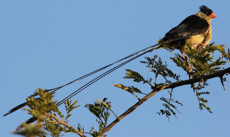 Esquecida pelos Meus: O Ultimato de uma Mãe
