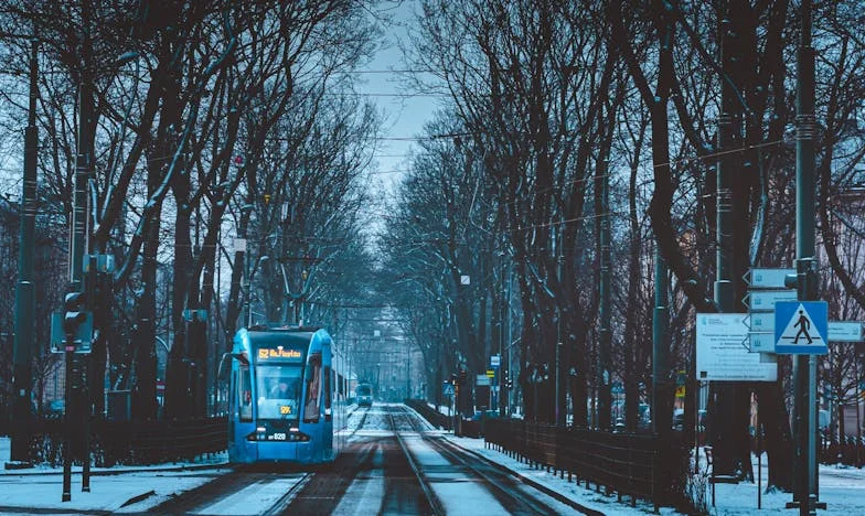 Quando a Família se Torna Estranha: A Minha História em Lisboa