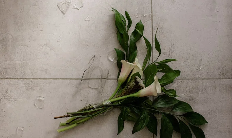 Quando o Silêncio Grita: A Minha Luta por Igualdade no Meu Casamento com o Rui