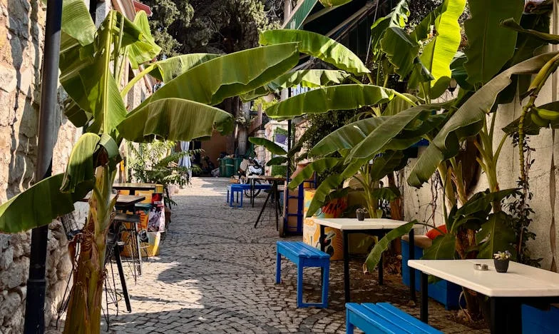 Sozinha em Lisboa: Um Pedido que Ficou sem Resposta