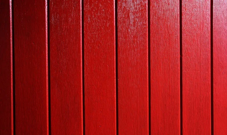 “A minha mãe disse: ou ela, ou eu” – A Ruptura de uma Família Portuguesa Entre Gerações