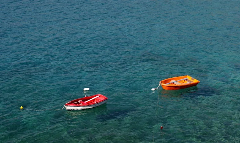 Como Enfrentei a Minha Sogra e o Preço Que Paguei por Isso