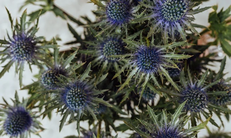 Confiança Quebrada: Como Um Gesto de Bondade Quase Destruiu a Minha Família