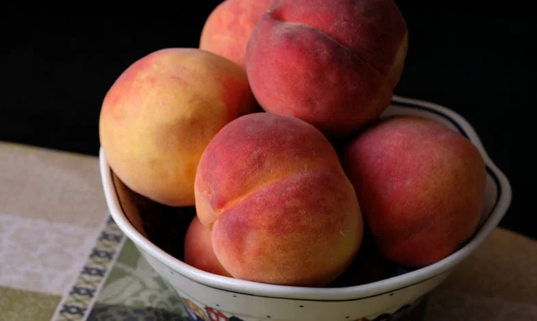 Dois frigoríficos, um coração: A história de uma mãe, um filho e os limites do amor