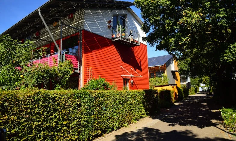 Entre a Chuva e o Silêncio: O Grito de uma Mãe Portuguesa