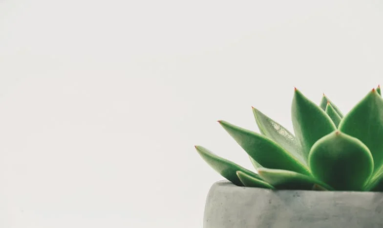 Entre a Culpa e o Amor: O Dia em que Deixei a Minha Mãe no Lar