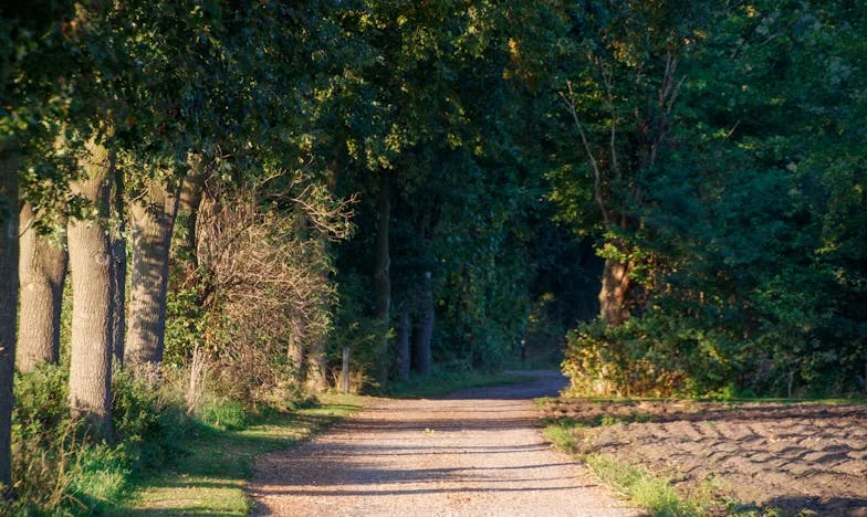 Entre o Amor e o Dever: Quando o Coração Quer e a Vida Não Permite