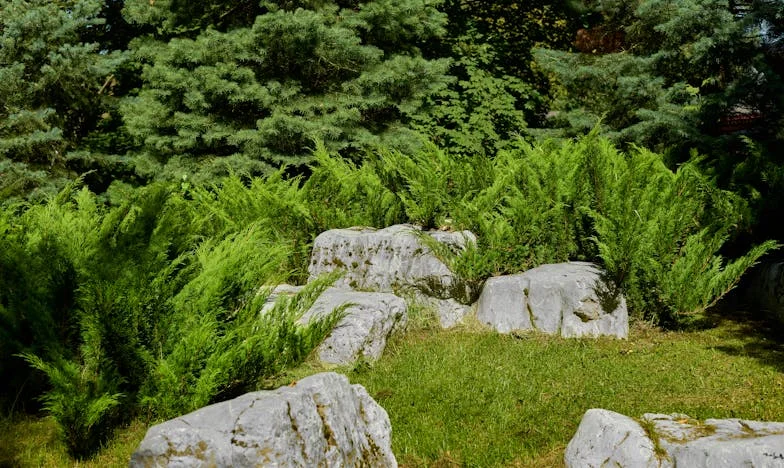 Entre o Amor e o Silêncio: O Preço de Ser Avó