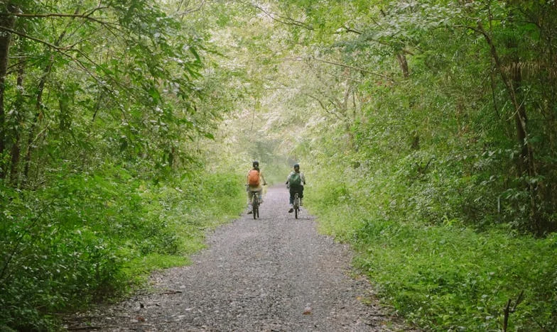Entre o Perdão e o Silêncio: A Redenção de um Filho Português