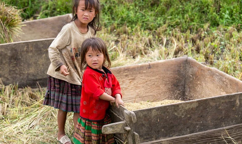 Entre Panelas e Sonhos: A Luta de Clara por Reconhecimento