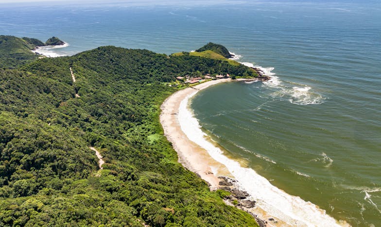 Entre Paredes e Silêncios: A Minha Família à Beira do Abismo
