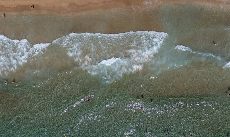 Entre Quatro Paredes: Quando a Família se Torna o Meu Maior Inimigo