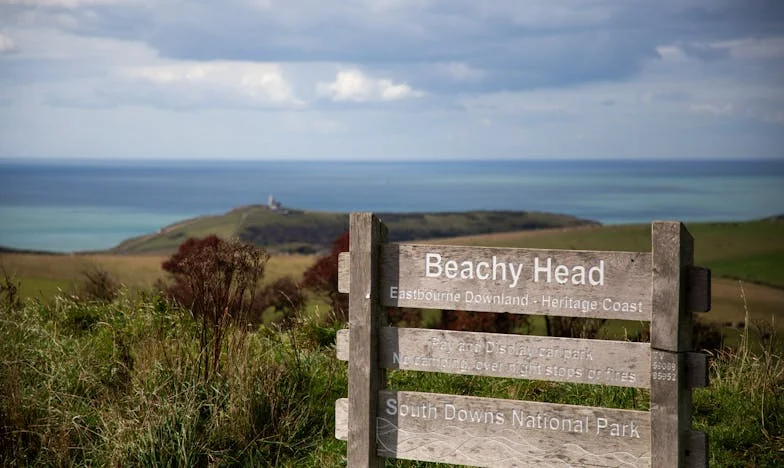 Estranhos à Porta: Uma Noite que Mudou Tudo