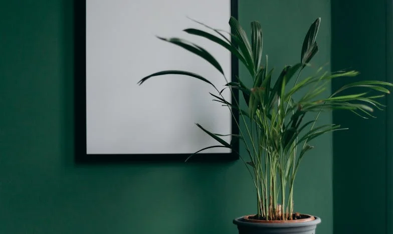 Herança de Sangue Estranha: A História de Maria de Viseu