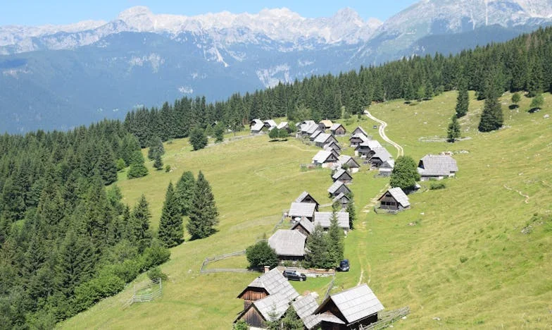 O Convidado Inesperado: Quando a Chegada do Meu Pai Mudou Tudo