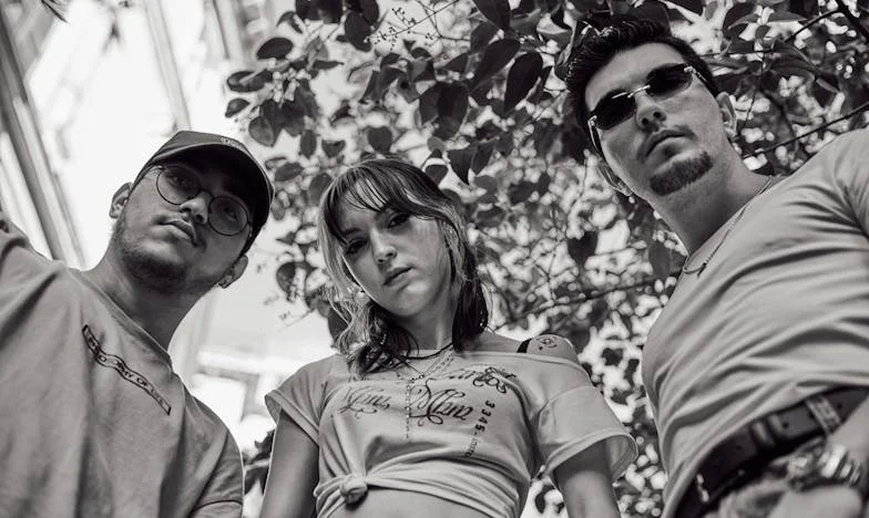 O Dia em que a Família se Desfez: O Testamento de Dona Isabel