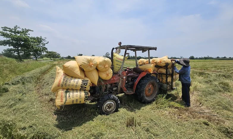 O Dia em que o António Partiu: Fragmentos de uma Vida Desfeita