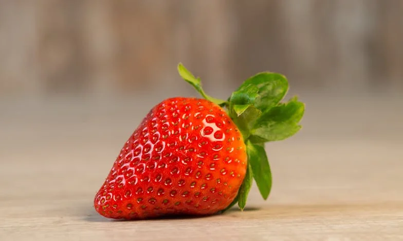 O Dia em que o Meu Filho Nos Tirou Tudo: Uma História de Perda e Sobrevivência