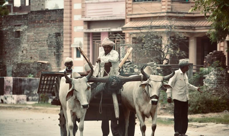 O Meu Filho, o Meu Espelho: Como a Maternidade Tardia Mudou as Nossas Vidas para Sempre