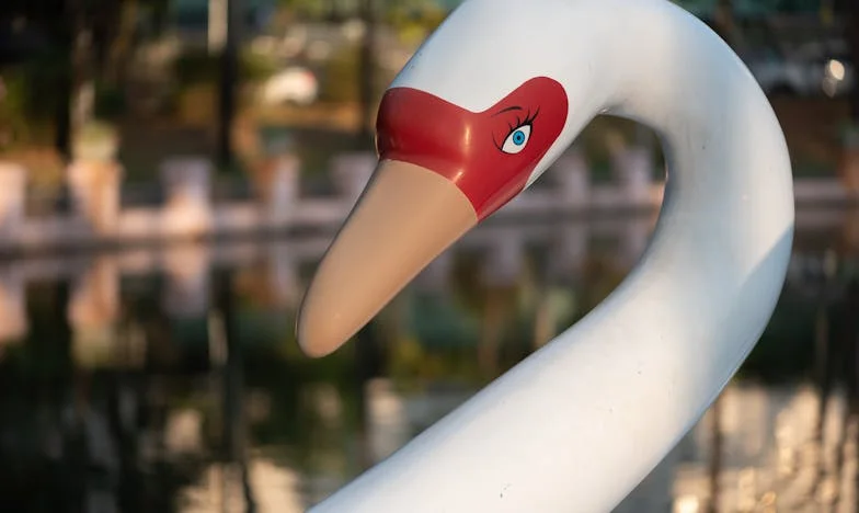 O que encontrei no sótão depois de ser expulsa pelo meu filho mudou tudo