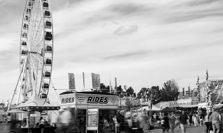O que encontrei no sótão depois de ser expulsa pelo meu filho mudou tudo