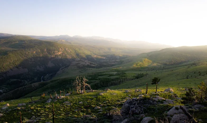 Quando a Confiança se Quebra: A Minha História de Traição e Renascimento no Casamento