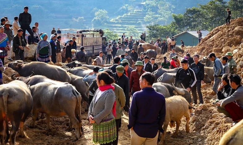 Quando a Minha Casa Deixou de Ser Minha: O Desabafo de uma Mãe Portuguesa