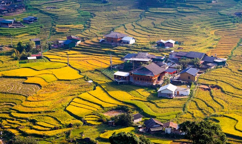 Quando a Minha Sogra Virou o Centro da Nossa Vida: Entre o Perdão e a Mágoa