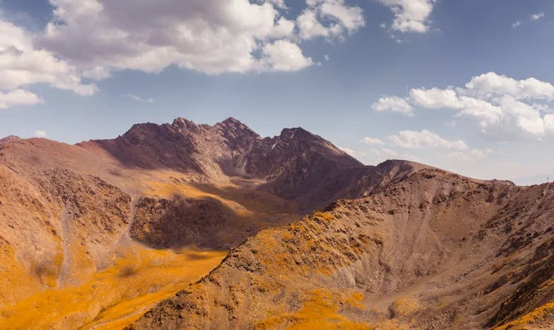 Quando o Coração Bate em Dobro: O Drama dos Meus Filhos Gémeos