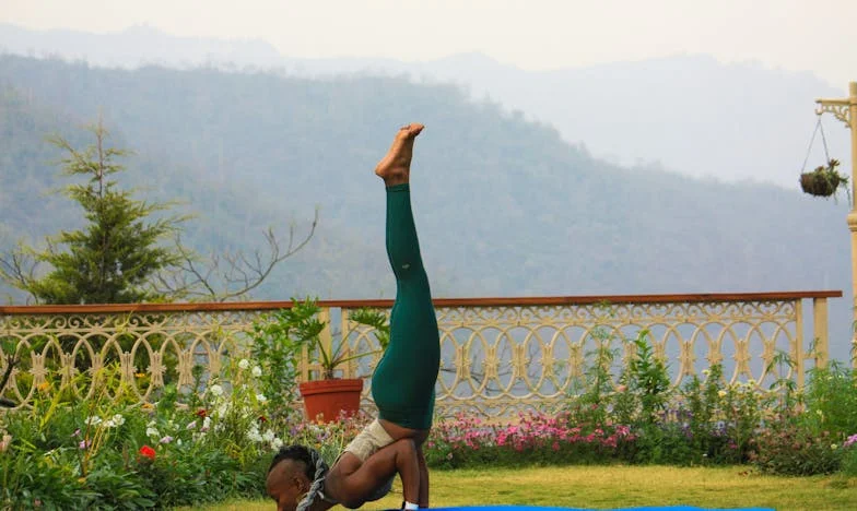 Quando o Dinheiro Não Compra Amor: O Drama da Minha Família e o Nosso Primeiro Lar