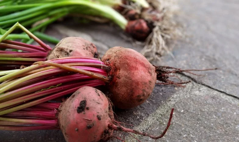 Quando o silêncio cai entre nós: a história de uma avó portuguesa e o mistério da distância