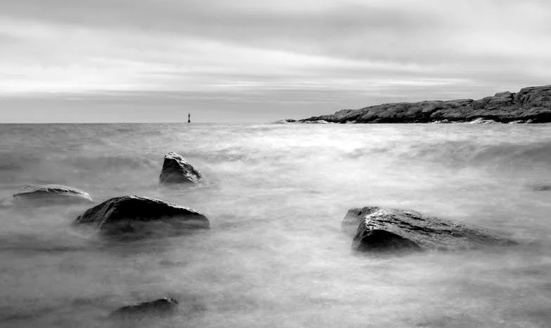 Sombras na Reforma: A História da Dona Amélia de Lisboa