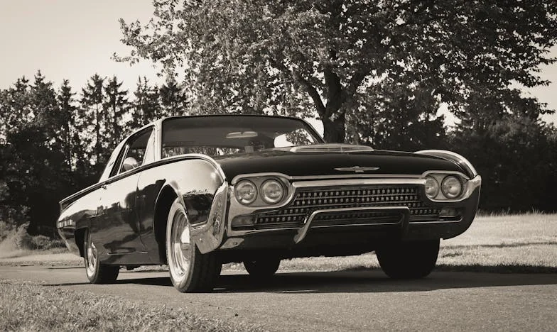 A Carteira do Meu Marido, a Minha Prisão: Uma Luta por Liberdade num Casamento Gelado