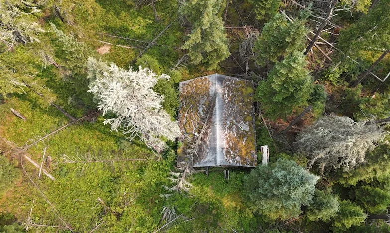 A força da fé: A luta de Beatriz com o abandono e o perdão
