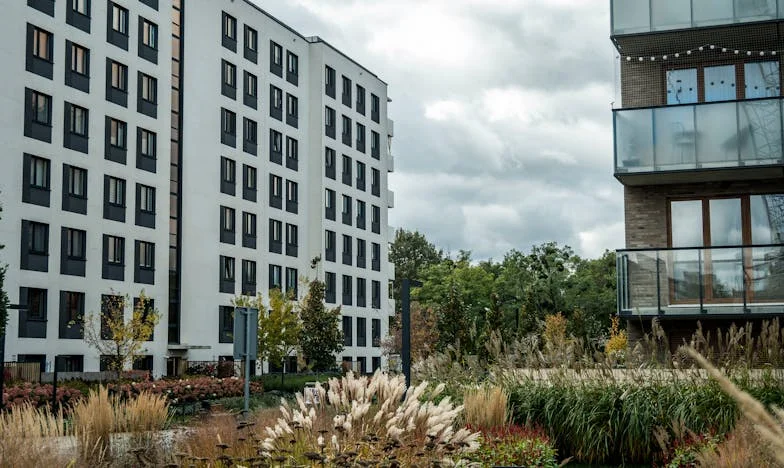 A Noite em Que Tudo Mudou: Um Destino Marcado pela Desconfiança