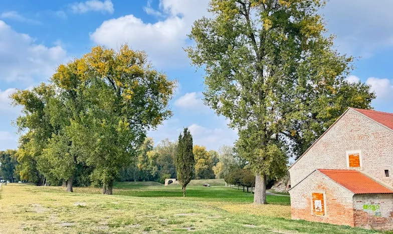 “Devolve o vestido — nunca vais caber nele”: sogra, intrigas e uma família que não é minha