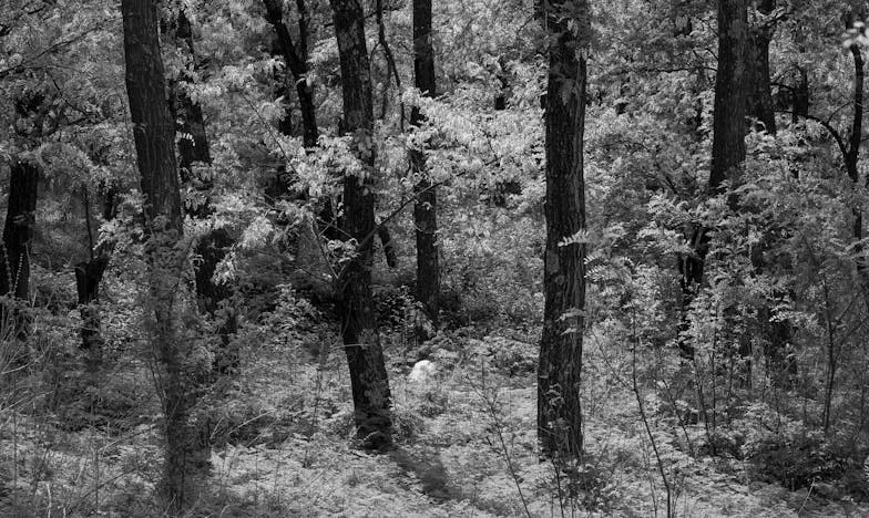 Dida António e Eu: Quando o Cuidado se Torna Salvação