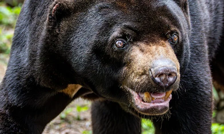 Dois anos depois: Casei-me com um homem divorciado, agora peço o divórcio – A filha dele e os nossos sonhos na T1