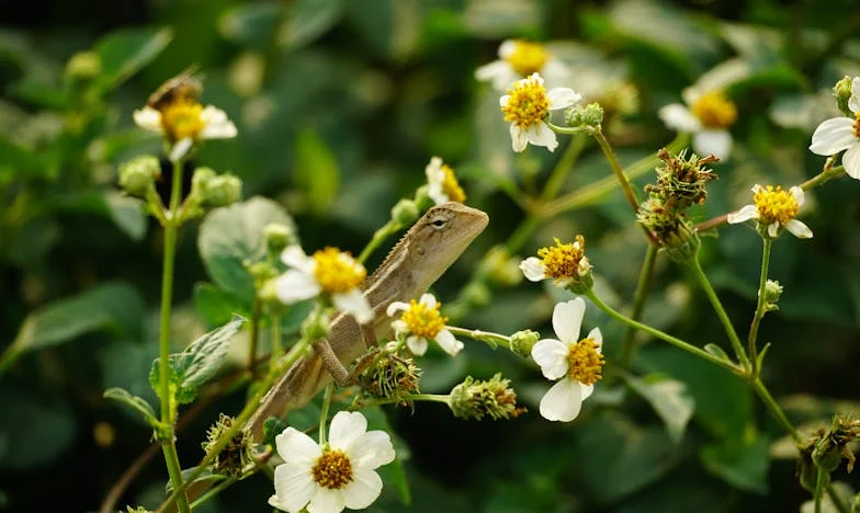 Entre a Fé e o Silêncio: O Peso Invisível de Cuidar