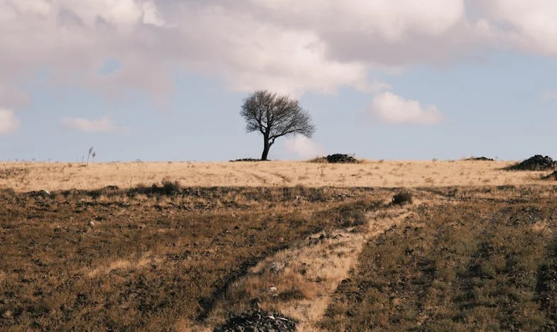 Entre a Sombra do Meu Marido e o Silêncio da Minha Casa: O Grito Que Ninguém Ouvia