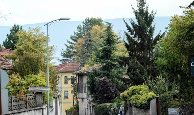 "Estás a envergonhar-nos, mãe" – O meu amor depois dos sessenta e o julgamento dos meus filhos